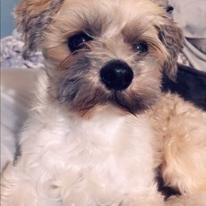 Meet your Posher, Stephany